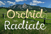 CS Adelina – Script Font, a Script Font by Craft Supply Co. (Thumbnail 6 of 8)
