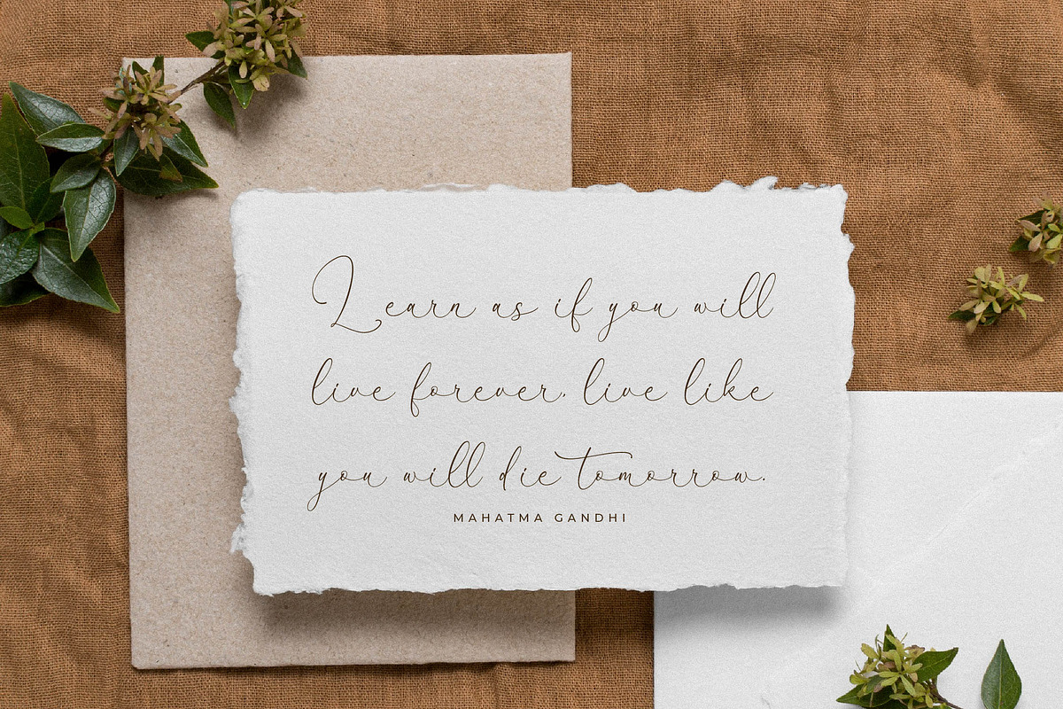 Fanttor Howery Font Duo, a Serif Font by Storytype Studio (Photo 10 of 15)