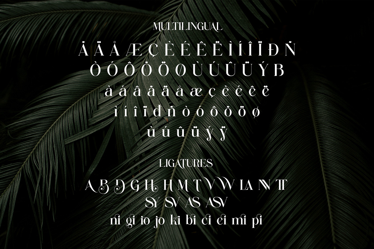 Mulnir Modern Serif Font, a Serif Font by Alfinart (Photo 11 of 11)
