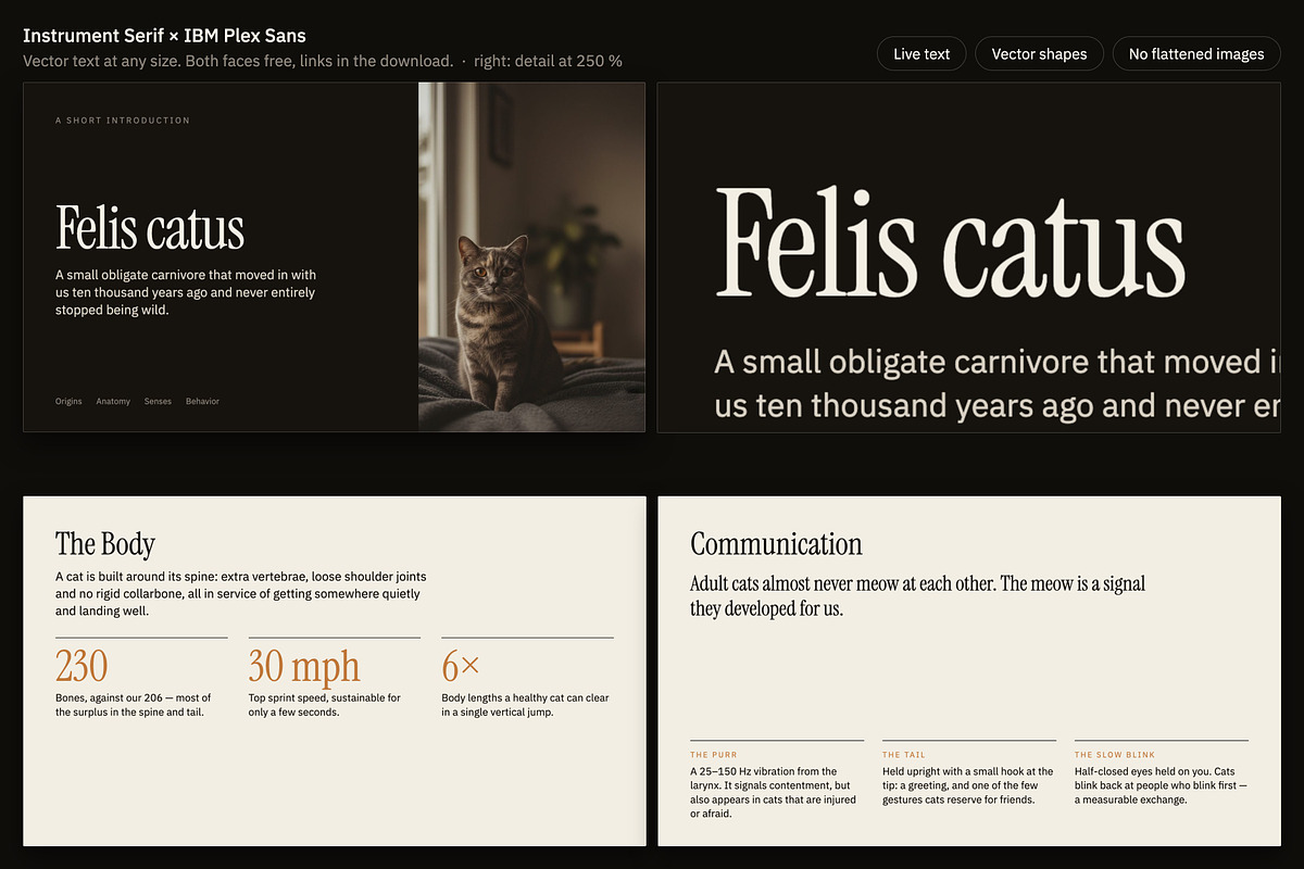 Understory Editorial Deck Template, a Presentation Template by Uno Creative Studio (Photo 8 of 10)
