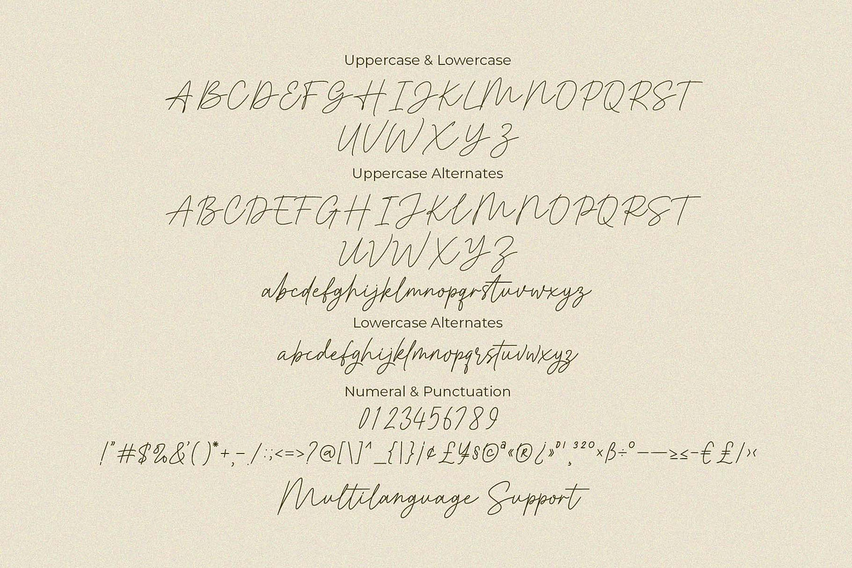 Moretimes Script, a Script Font by MJB Letters (Photo 11 of 13)