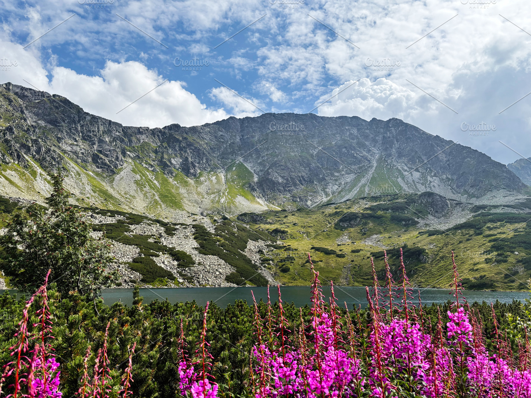 Scenic mountain lake with pink flowers in Zakopane Poland under a blue sky, a Nature Photo by AS photostudio