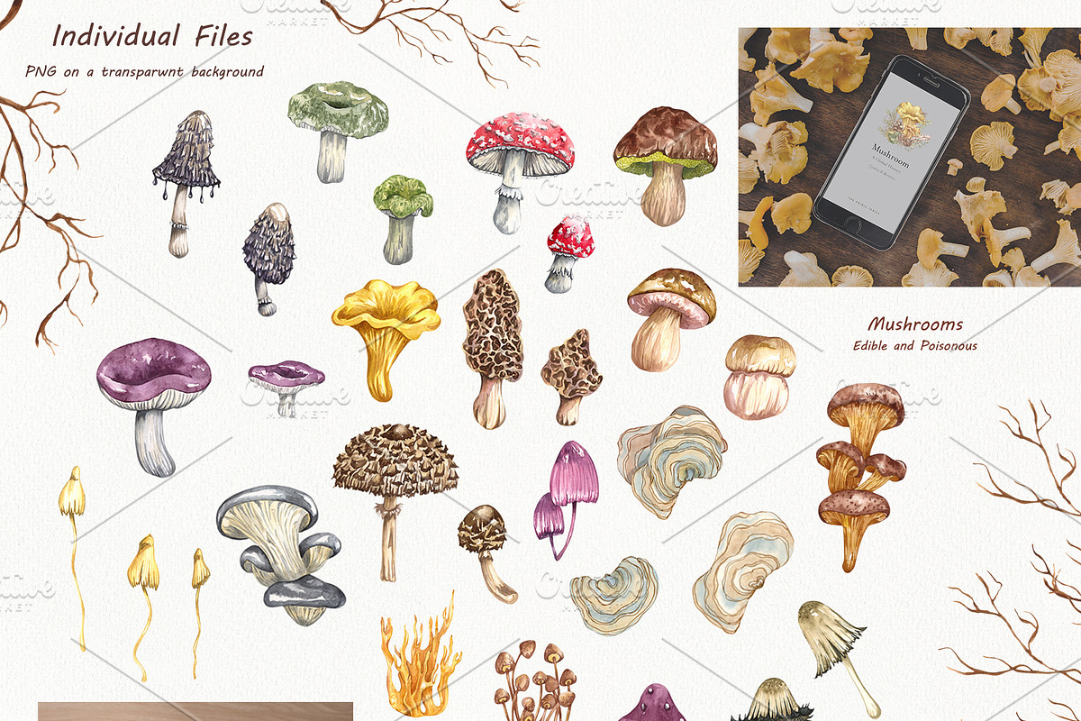 Watercolor Botanical Forest Set, an Animal Illustration by BarvArt (Photo 4 of 20)