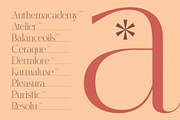 Hekgest Elegant Modern Serif, a Serif Font by timelesstype.co (Thumbnail 13 of 20)