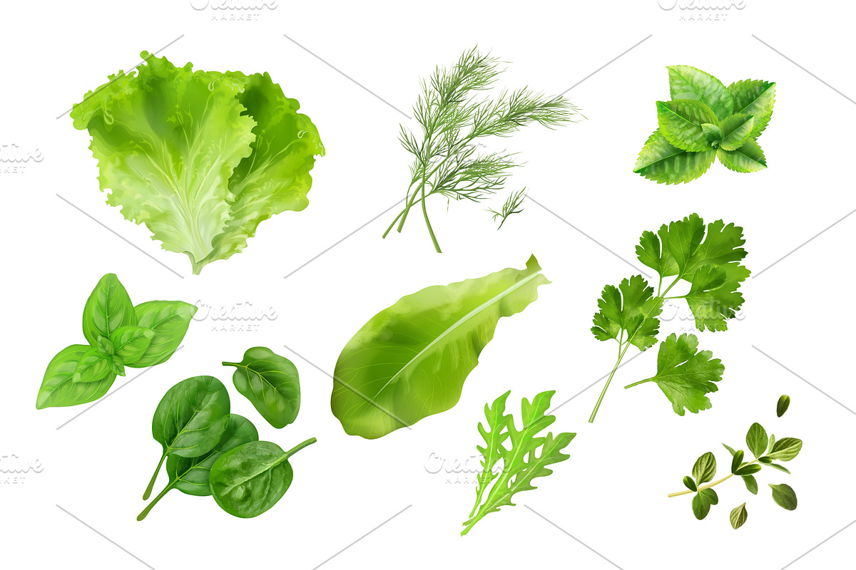 Realistic kitchen herbs. 3d spice, a Food Illustration by Stock-Smart-Start