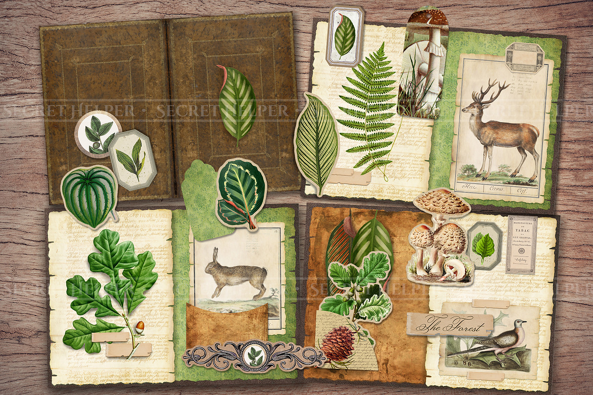 Forest Scrapbooking Kit, an Animal Illustration by Secret Helper (Photo 2 of 9)