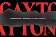 Cayton - Vintage Sharp Serif Font, a Serif Font by Drizy (Thumbnail 2 of 9)