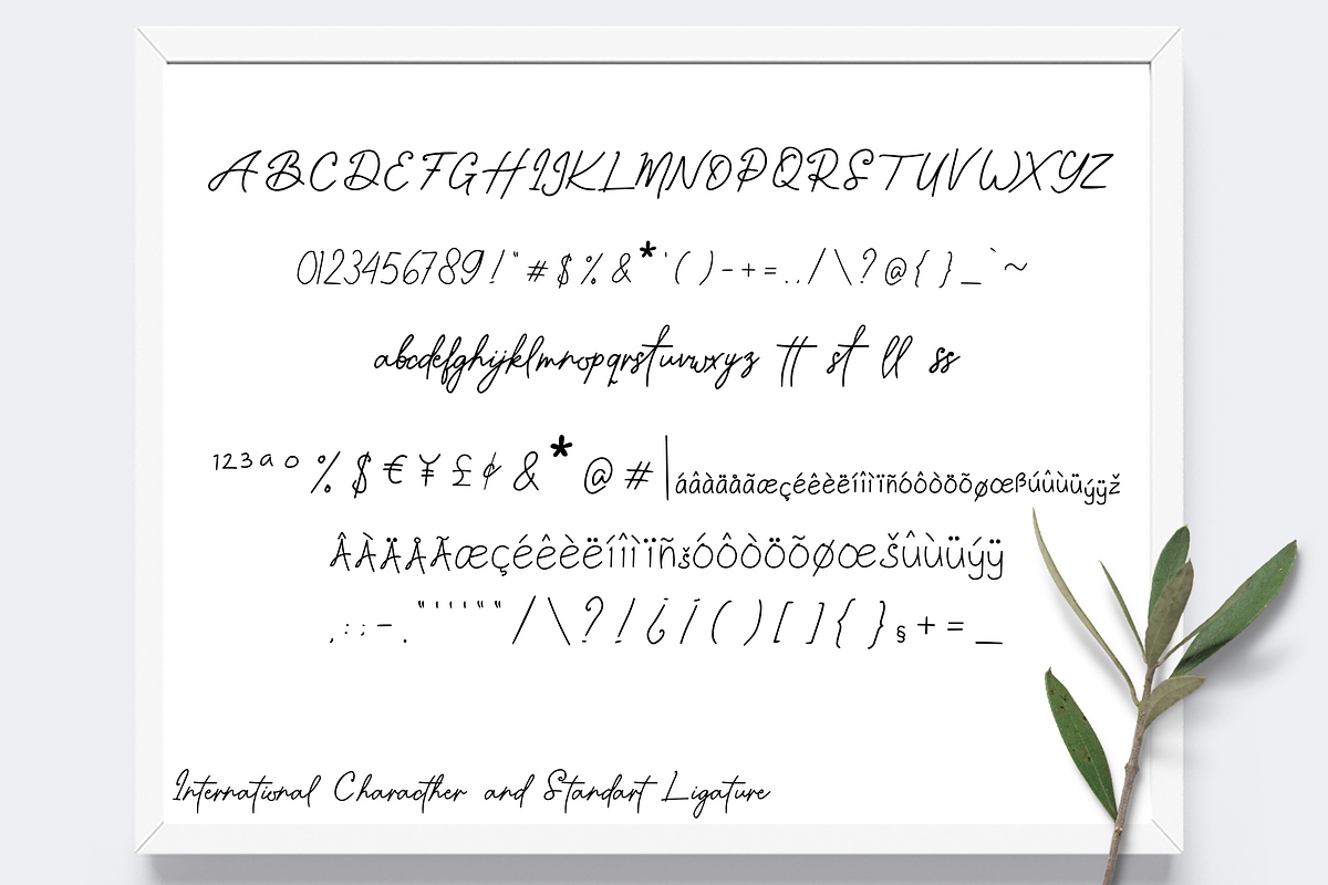 Mandalletta Script Font, a Script Font by Gookkis Studio (Photo 6 of 7)