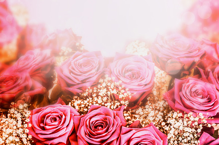 Lovely pink roses background., a Nature Photo by VICUSCHKA