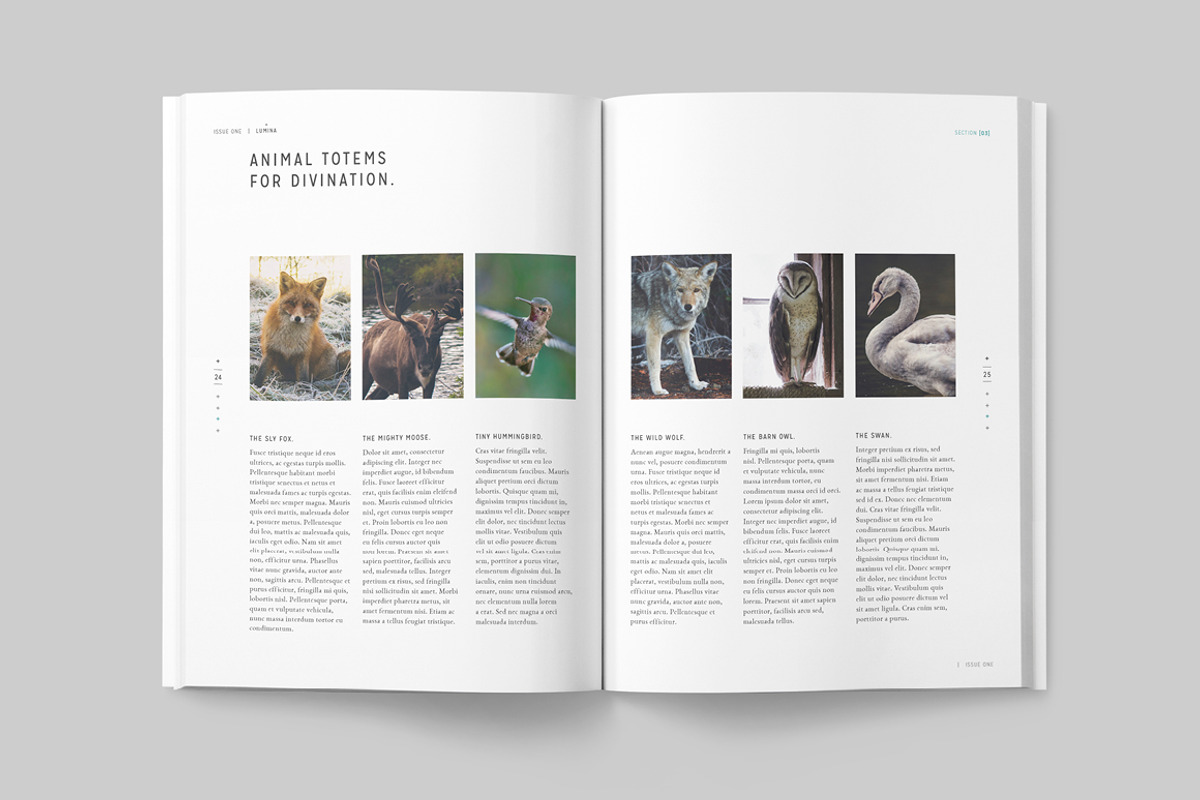 LUMINA Magazine, a Magazine Template by 46&2 Collective (Photo 16 of 27)