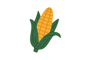 Bright yellow corn cob with green, a Food Illustration by GraphiShop