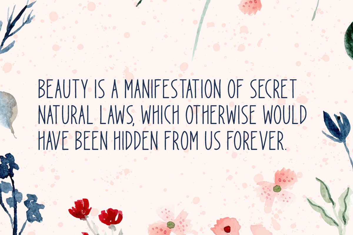 Spread Beauty Typeface, a Script Font by Seemly Fonts (Photo 3 of 4)