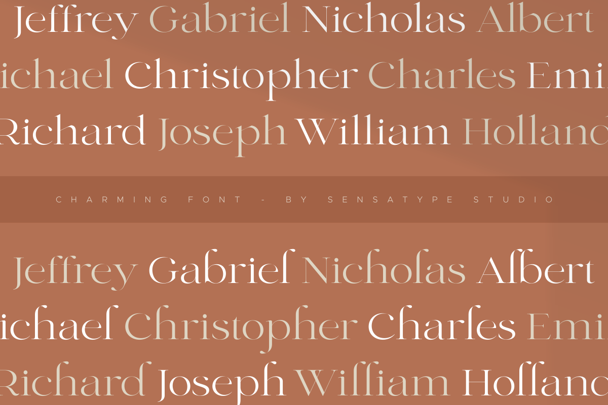 Charming - Classy & Decorative Font, a Serif Font by Sensatype (Photo 20 of 21)