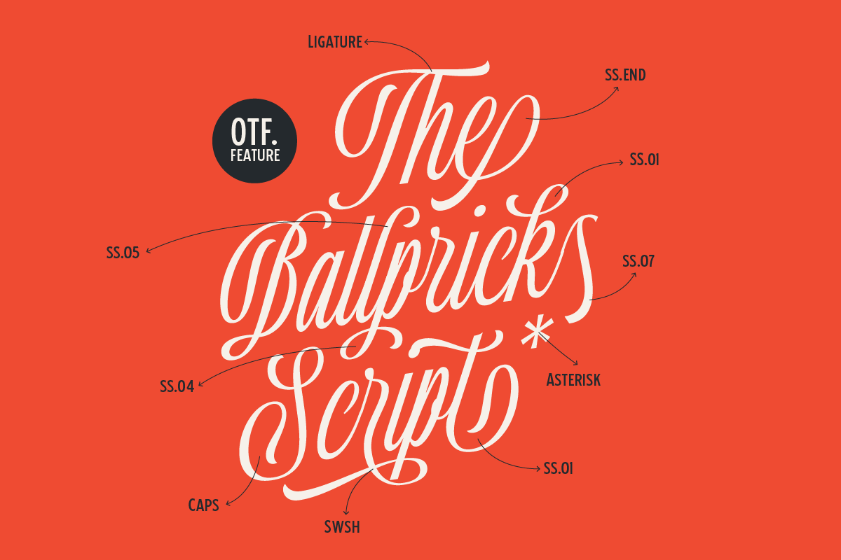 Ballpricks - Vintage Font Duo, a Script Font by Martype (Photo 3 of 12)