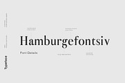 Adren - A Modern & Refined Typeface, a Serif Font by Cassandra Cappello (Thumbnail 3 of 5)