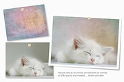 Unicorn Party Textures, a Texture Graphic by rileyBgraphics (Thumbnail 3 of 7)