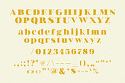 Junie | A High-Contrast Serif Font, a Serif Font by Blythe Green (Thumbnail 12 of 12)