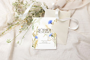 Knapweed and wildflowers collection, an Illustration by ReachDreams (Thumbnail 8 of 12)