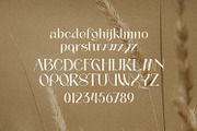 Palmer Sorjan - A Modern Serif, a Serif Font by Koplexs Studio (Thumbnail 9 of 11)