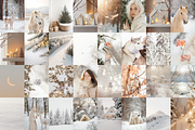 210 Christmas Winter Stock Photos, a Holiday Photo by Allure Art (Thumbnail 32 of 38)