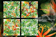 Watercolor Tropical plant & Bird, an Object Graphic by FineArt (Thumbnail 17 of 22)