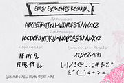 Earth Elements Typeface, a Script Font by Anna Ivanir (Thumbnail 4 of 5)