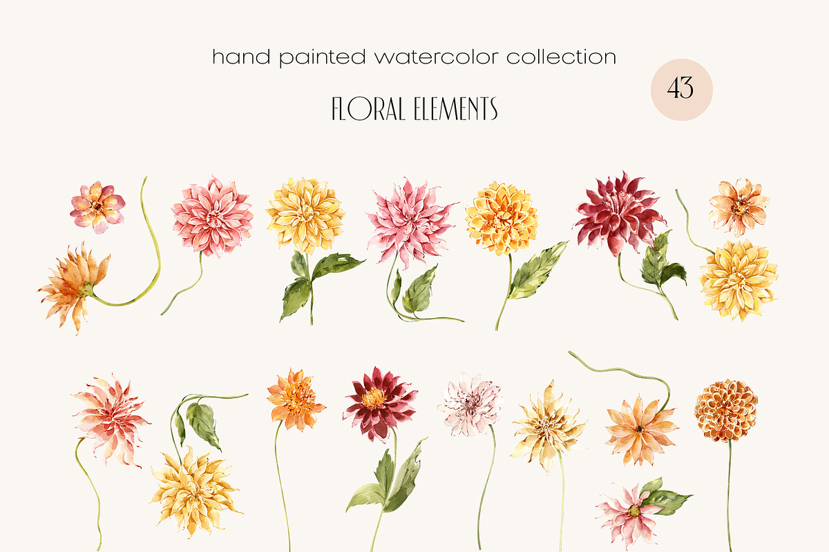 Dahlia Watercolor Collection, a Decorative Illustration by ArtMaslyana (Photo 2 of 15)
