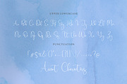 Birdwatch - Luxury Calligraphy Font, a Script Font by Letterative Studio (Thumbnail 6 of 7)