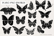 Butterfly Clipart Bundle, an Object Illustration by IllustratorAnnie (Thumbnail 4 of 6)