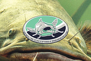 Wels Catfish reserve, a Branding & Logo Template by LuisFaus (Thumbnail 1 of 3)