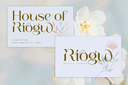 Atega - Stylish Luxury Logo Font, a Serif Font by Sealoung (Thumbnail 5 of 10)