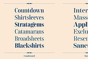 Gerard Display, a Serif Font by Rafael Jordan (Thumbnail 10 of 12)