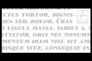 1890 Notice Set, a Serif Font by GLC Foundry (Thumbnail 3 of 9)