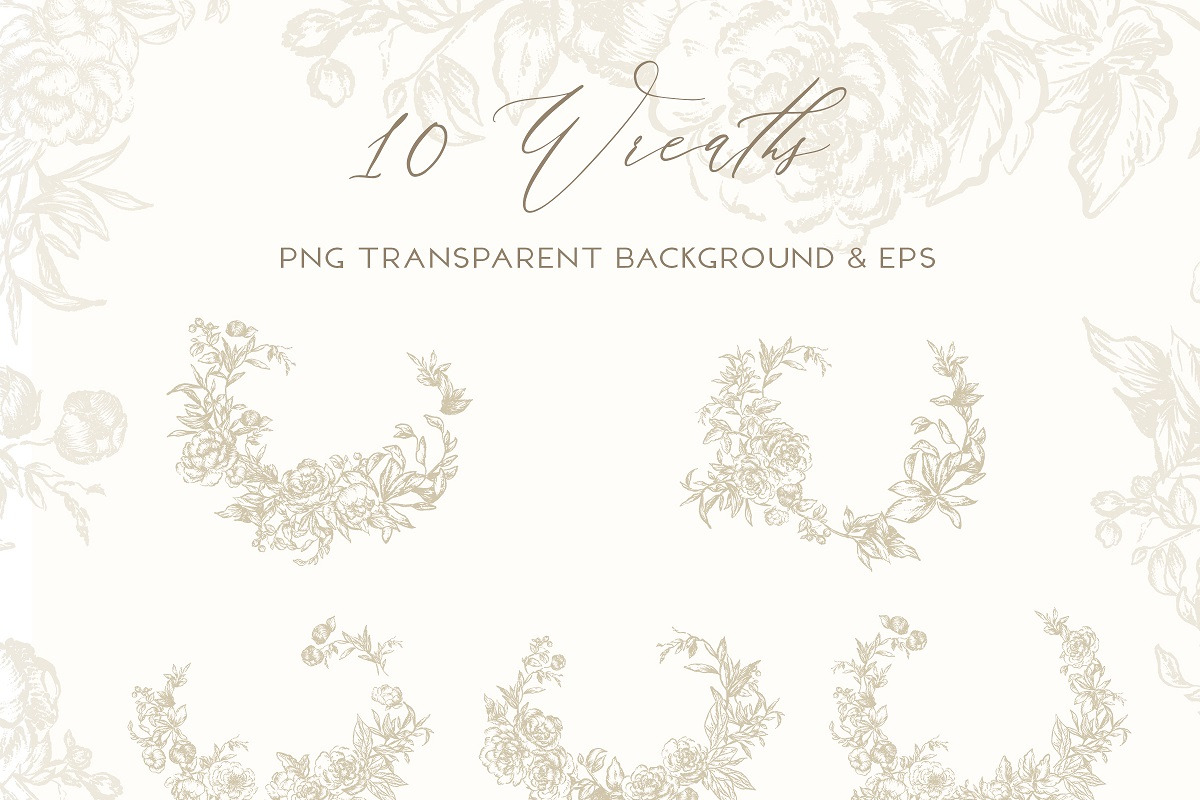 Vintage Peony - Flowers Line Art, a Decorative Illustration by BlumenSoul (Photo 4 of 9)