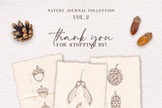 Forest sketchbook vintage collection, a Decorative Illustration by Pigment Café (Thumbnail 7 of 7)