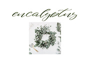 Saiquiry, a Script Font by Katie Holland (Thumbnail 3 of 9)