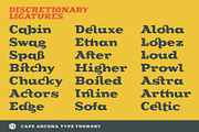 CA Cape Rock - Family, a Slab Serif Font by Cape Arcona Type Foundry (Thumbnail 5 of 8)