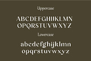 Blinka Bold Script Serif Font Duo, a Script Font by WhymoreArt (Thumbnail 9 of 11)