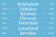 Morland – A Modern Elegant Serif, a Slab Serif Font by roomspace creative lab (Thumbnail 5 of 15)