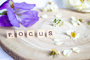 Purple Iris Styled Stock Collection, a Photo by Chalking Up Stock (Thumbnail 15 of 19)