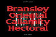 Skilens - Display Serif Typeface, a Serif Font by Comactype Foundry (Thumbnail 5 of 20)