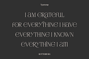 Rotterburg Stylish Display Font, a Serif Font by Typetemp Studio (Thumbnail 14 of 20)