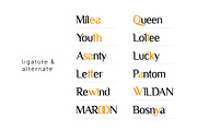 Kaviolla Modern Serif Font, a Serif Font by Dicubit (Thumbnail 9 of 11)