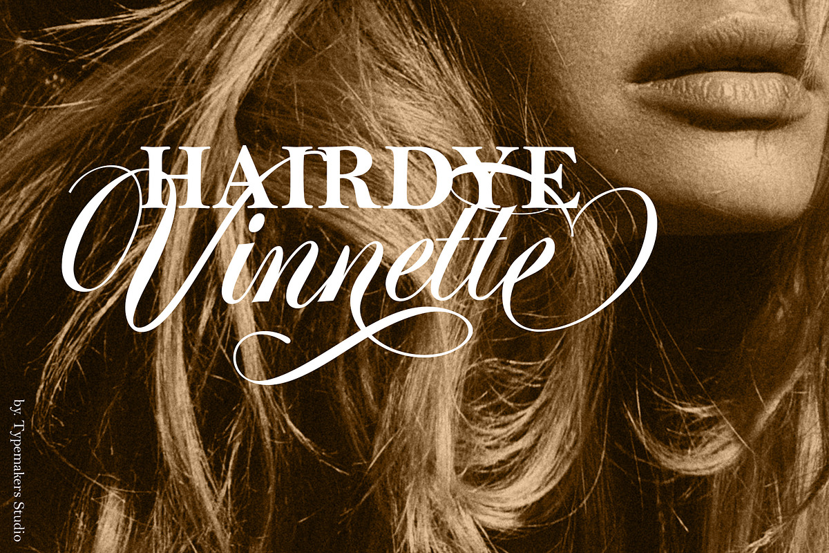 Merline Script, a Script Font by TypeMakers (Photo 2 of 12)
