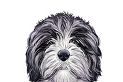Dogs Cross Breeds 56 Animals Bundle, an Animal Illustration by Dneprstock (Thumbnail 14 of 55)