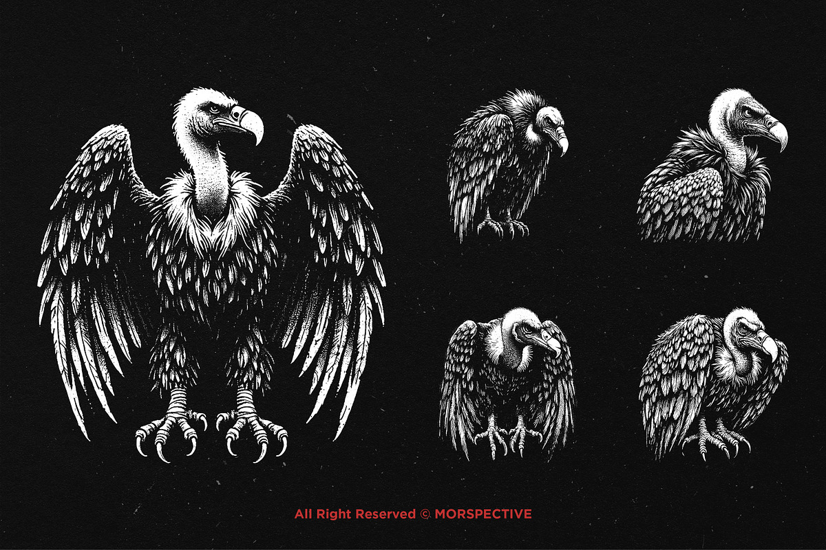 10 Bundle Dark Art Condor Bird, an Illustration by Morspective (Photo 5 of 7)