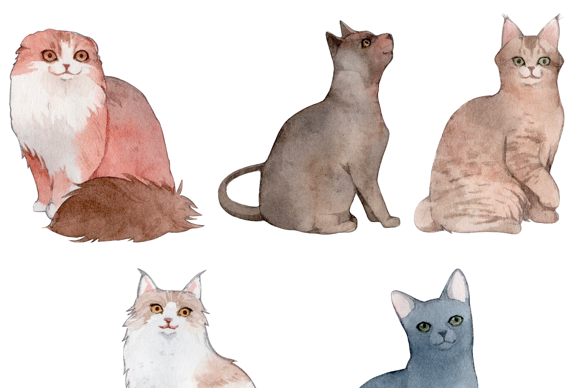50 Hand-drawn Watercolor Cats, an Animal Illustration by ArtbyHien (Photo 7 of 7)