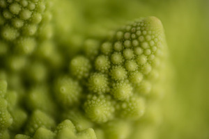 Fractal food