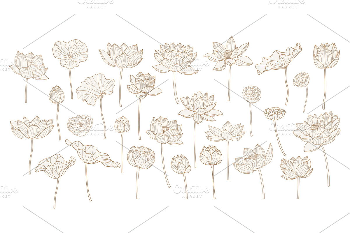 Lotus hand drawn vector set, a Seasonal Illustration by Vectorwins Premium Shop (Photo 2 of 4)