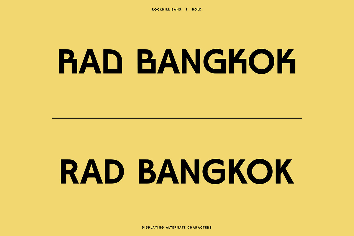 Rockhill Sans: A Diverse Sans Serif, a Sans Serif Font by Bnick (Photo 10 of 23)